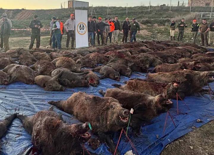 Resultado Montería Las Tajadas 2026 Herranz S C Servicios Agrestes